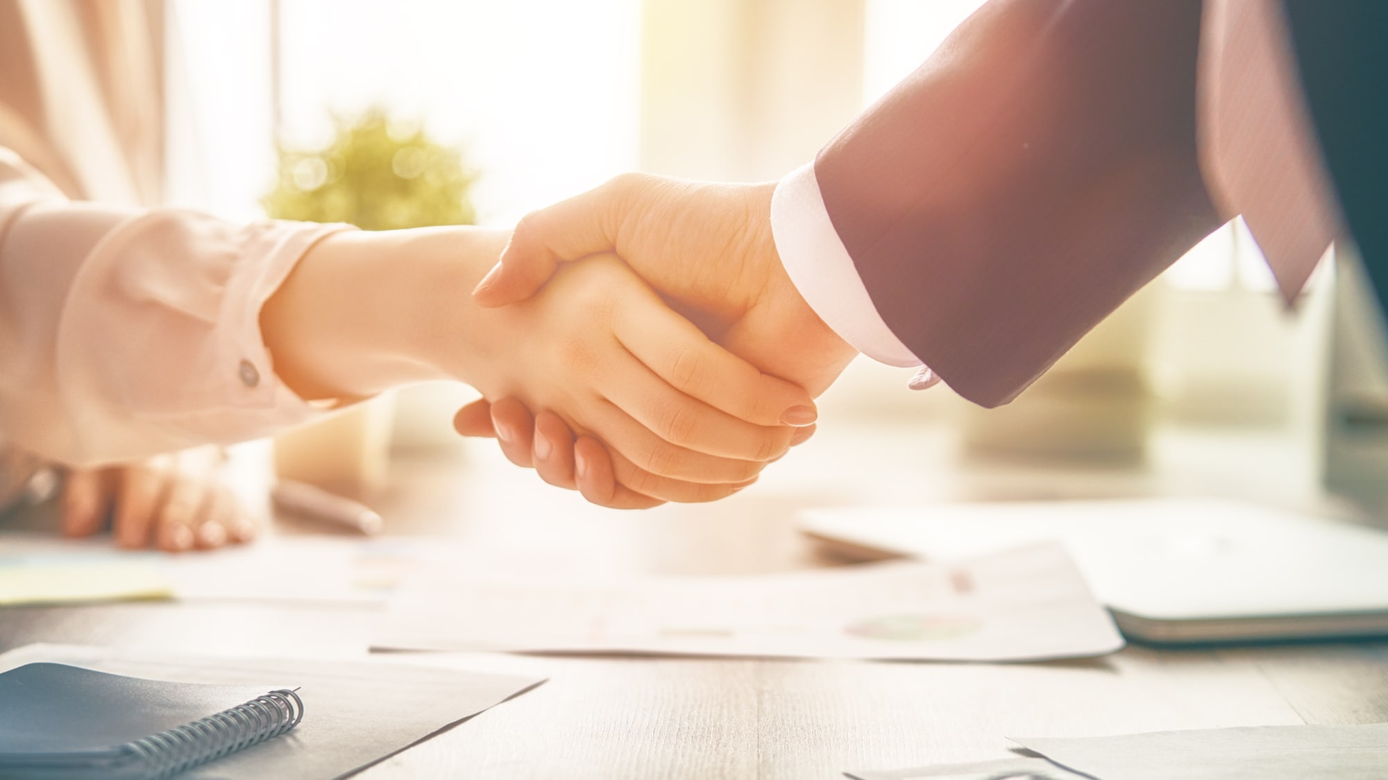 Two professionals shake hands over a desk covered with business documents, bathed in bright, natural light in an office setting.